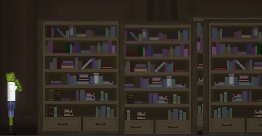 Bookshelves 1