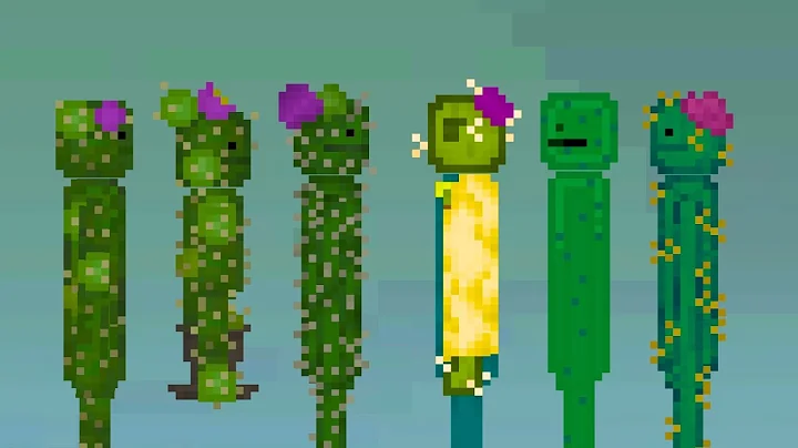 More Cactus 1