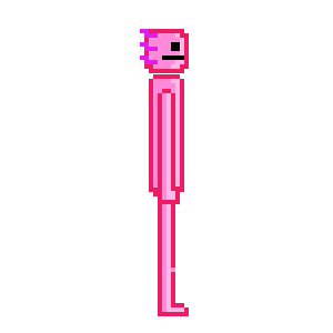 ajolote prototipo 1