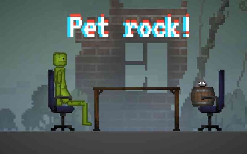 pet rock 1