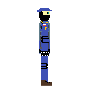 POLISH POLICE 1