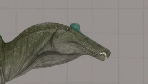 Accurate spino 1