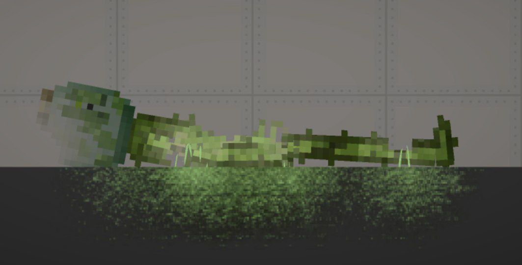 Canned cucumber 1