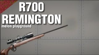 R700 Remington 1