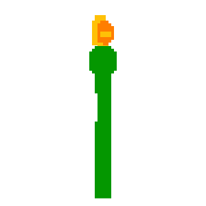sunflower 1